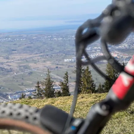 Alpen Krone Kehlegg